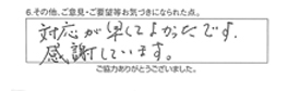 対応が早くてよかったです。感謝しています。