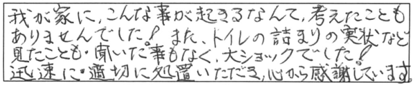 我が家に、こんな事が起きるなんて、考えたこともありませんでした！また、トイレの詰まりの実状など見たことも・聞いた事もなく、大ショックでした！迅速に・適切に処置いただき、心から感謝しています。