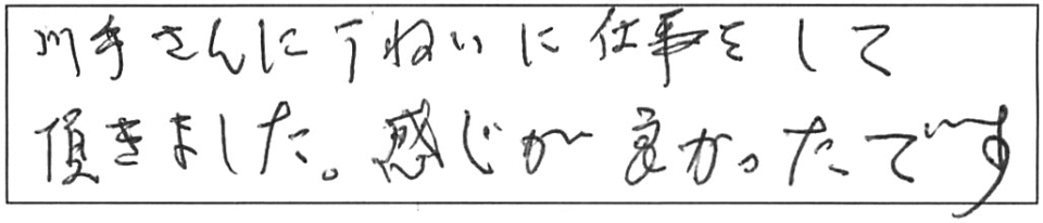 川手さんに丁寧に仕事をして頂きました。感じが良かったです。 