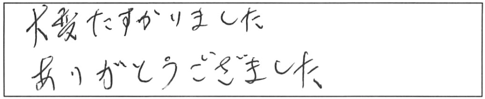 大変たすかりました。ありがとうございました。