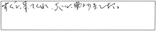 すぐに来てくれ、大いに助かりました。 