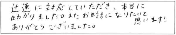 迅速に対応していただき、本当に助かりました。また、お世話になりたいと思います。ありがとうございました。