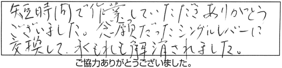 短時間で作業していただき、ありがとうございました。念願だったシングルレバーに交換して、水もれも解消されました。