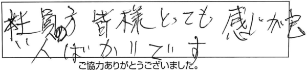 社員の方、皆様とっても感じが良い人ばかりです。 