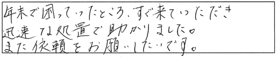 年末で困っていたところ、すぐ来ていただき、迅速な処置で助かりました。また依頼をお願いしたいです。