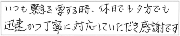 いつも緊急を要する時、休日でも夕方でも迅速かつ丁寧に対応していただき感謝です。