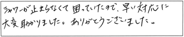 シャワーが止まらなくて困っていたので、早い対応に大変助かりました。ありがとうございました。