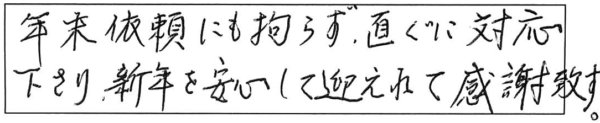 年末依頼にも拘らず、直ぐに対応下さり、新年を安心して迎えれて感謝致す。