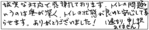 誠実な対応で感謝しております。トイレの問題というのは奥が深く、トイレの状態が良いと安心して暮らせます。ありがとうございました！(F/B遅くなり申し訳ありません）