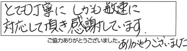 とても丁寧にしかも敏速に対応して頂き感謝しています。ありがとうございました。