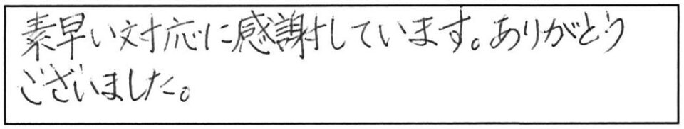 素早い対応に感謝しています。ありがとうございました。