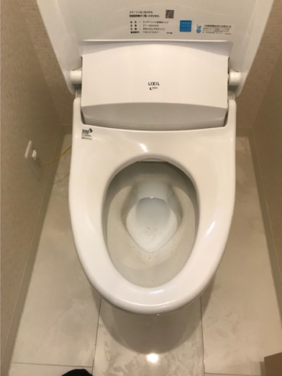 【安芸郡府中町】<br>よくあるトイレつまり一例<br>汚物編