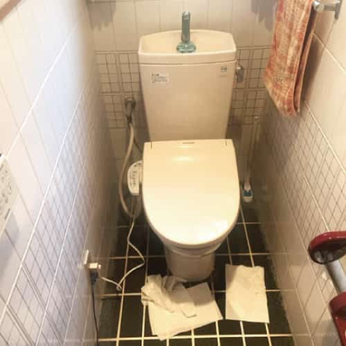 【広島市南区】<br>トイレつまって水が溢れた<br>排水マスの中の根っ子を除去