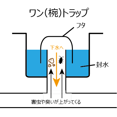 【広島市中区】<br>フォークが排水管に流れた<br>キッチンつまり 除去作業