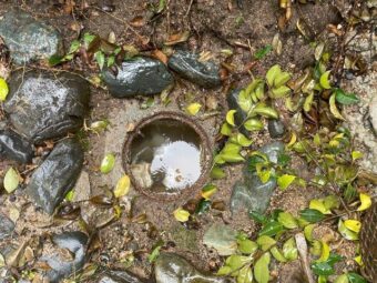 排水マスを清掃しないとコンクリートが腐食する。<br>【広島市佐伯区美鈴が丘】